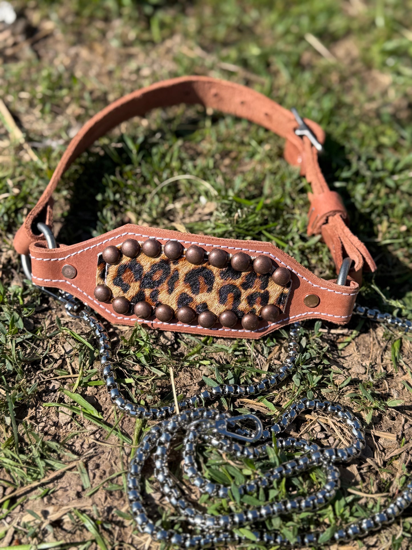 Leopard Lamb/Goat Halter