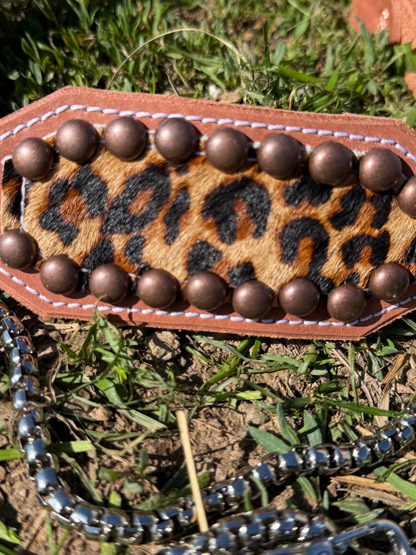 Leopard Lamb/Goat Halter